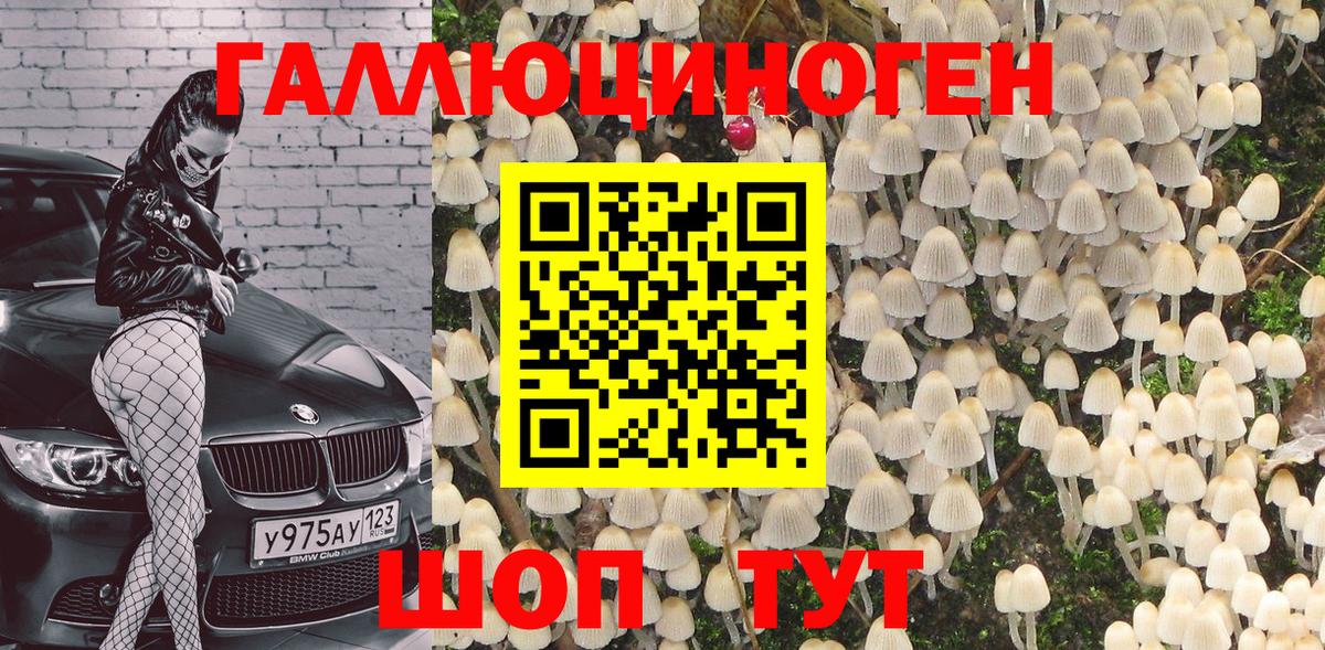 Псилоцибиновые грибы Cubensis  Вход с VPN  Дедовск 